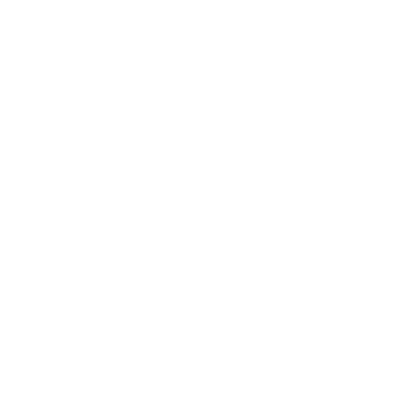 A logo of a horse and woman, symbolizing strength, partnership, and a love for horses.